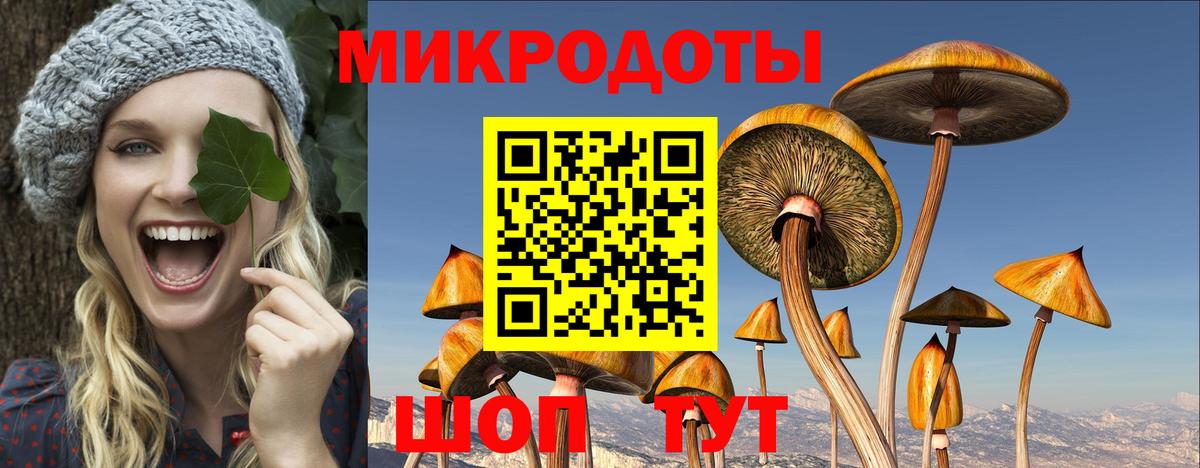 Псилоцибиновые грибы GOLDEN TEACHER Калач-на-Дону